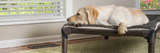 Dog Beds Dog Beds