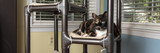 Cat Products Cat Products