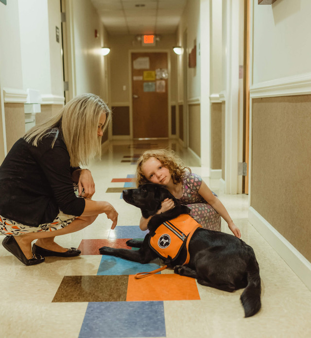 Dog with People in Hospital