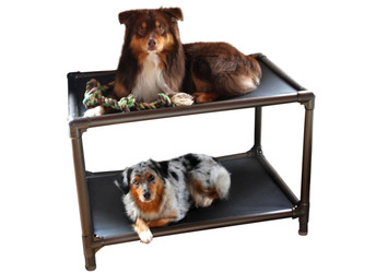 Two dogs resting on a Kuranda Bunk Bed with Walnut Frame, one dog on the top level and one dog on the bottom level.