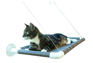 Cat resting on top of a Kitty Cot