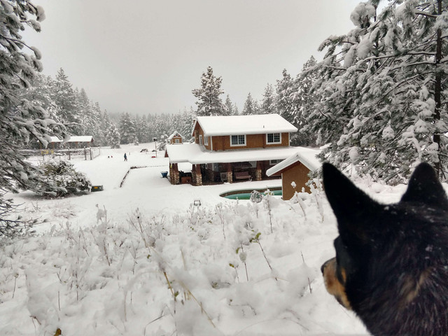 Snowy house