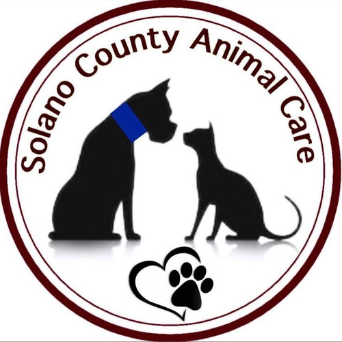 Shelter Shout Out: Solano County Sherriff’s Office - Animal Care Division